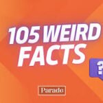 Weird Facts