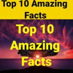 Amazing Facts